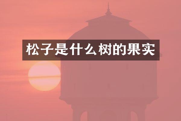 松子是什么树的果实