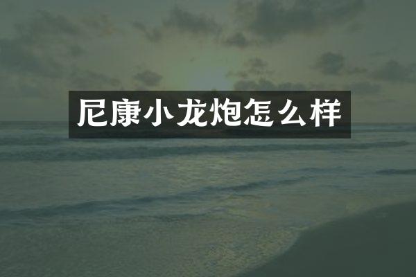 尼康小龙炮怎么样
