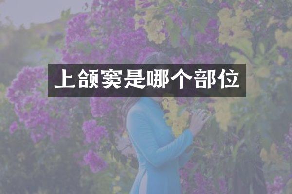 上颌窦是哪个部位