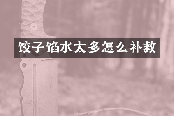 饺子馅水太多怎么补救