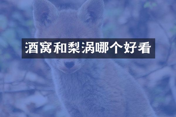 酒窝和梨涡哪个好看
