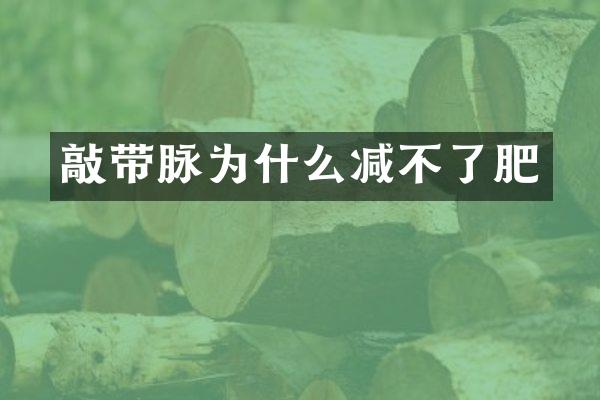 敲带脉为什么减不了肥
