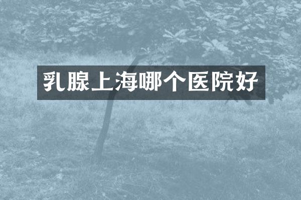 乳腺上海哪个医院好