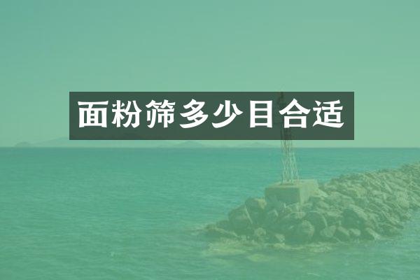 面粉筛多少目合适
