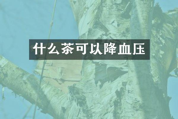 什么茶可以降血压