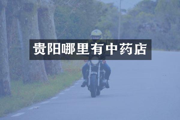 贵阳哪里有中药店