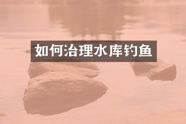 如何治理水库钓鱼