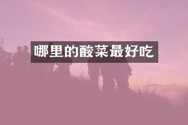 哪里的酸菜最好吃