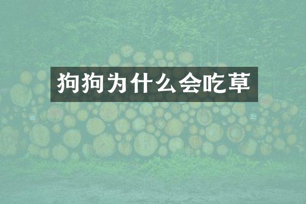狗狗为什么会吃草