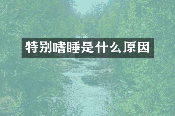 特别嗜睡是什么原因