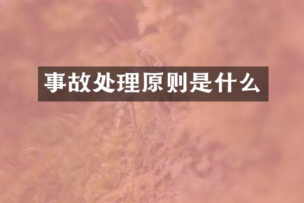 事故处理原则是什么