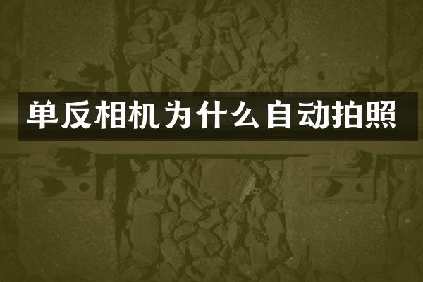 单反相机为什么自动拍照