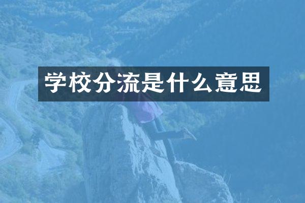 学校分流是什么意思