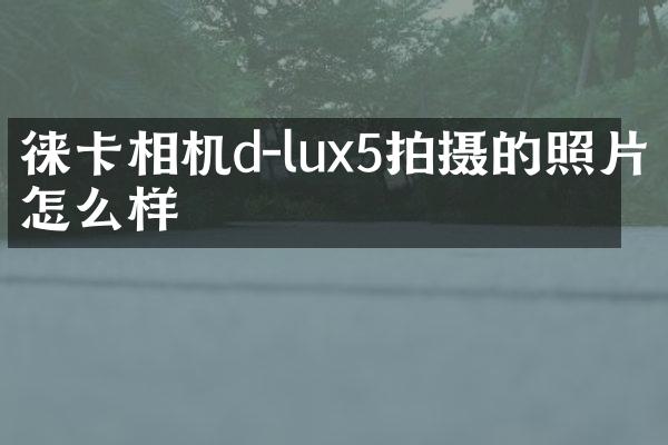 徕卡相机d-lux5拍摄的照片怎么样