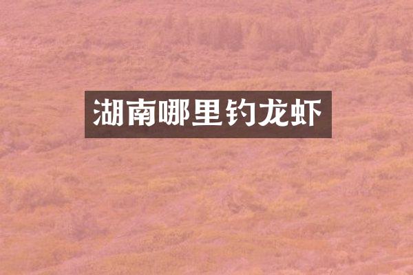 湖南哪里钓龙虾