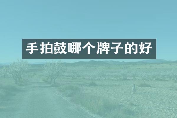手拍鼓哪个牌子的好