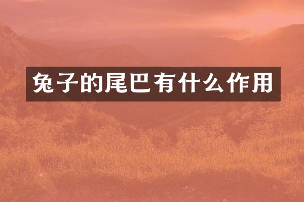 兔子的尾巴有什么作用