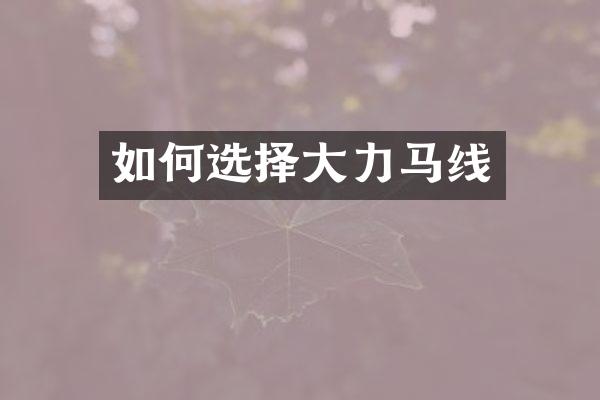 如何选择大力马线