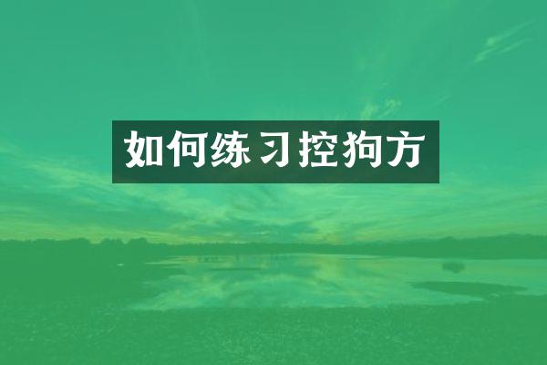 如何练习控狗方