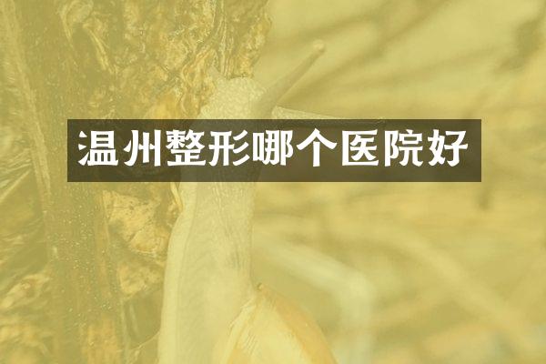温州整形哪个医院好
