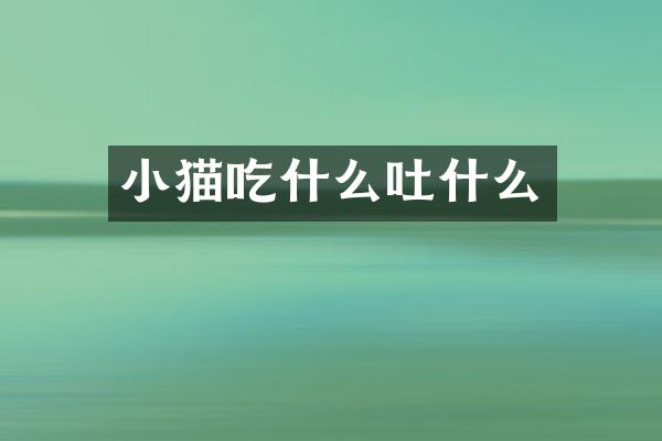 小猫吃什么吐什么