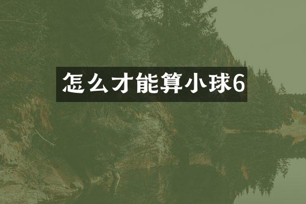 怎么才能算小球6