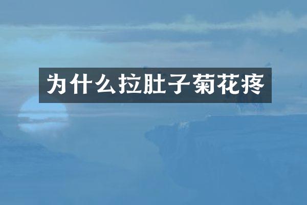 为什么拉肚子菊花疼