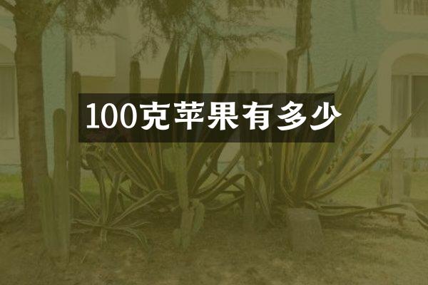 100克苹果有多少