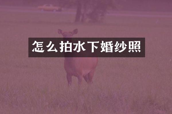 怎么拍水下婚纱照