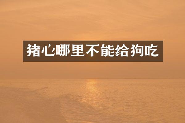 猪心哪里不能给狗吃