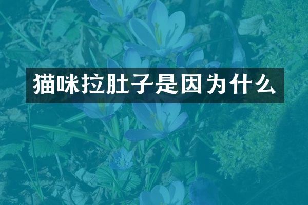 猫咪拉肚子是因为什么