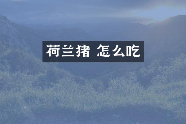 荷兰猪 怎么吃