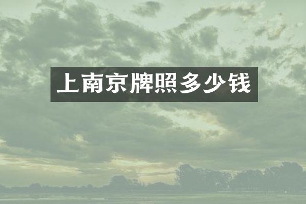 上南京牌照多少钱