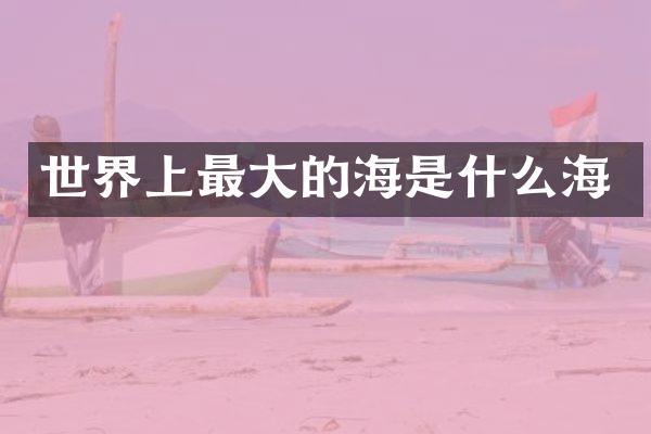 世界上最大的海是什么海