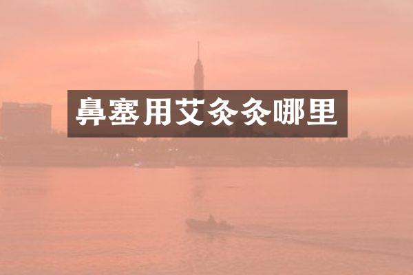 鼻塞用艾灸灸哪里