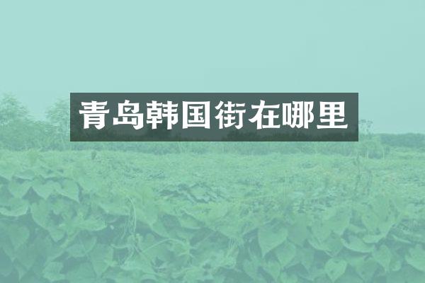 青岛韩国街在哪里