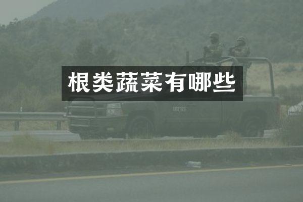 根类蔬菜有哪些