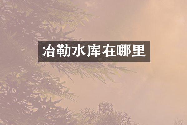 冶勒水库在哪里