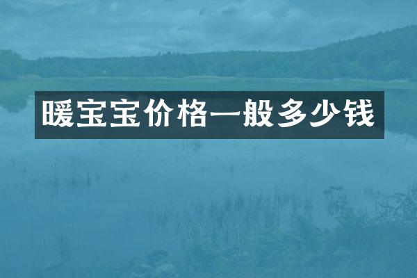 暖宝宝价格一般多少钱