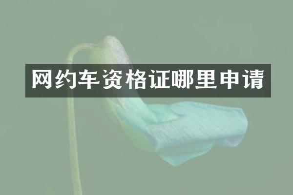 网约车资格证哪里申请