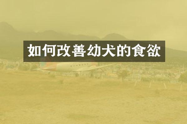 如何改善幼犬的食欲