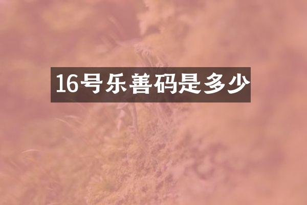 16号乐善码是多少