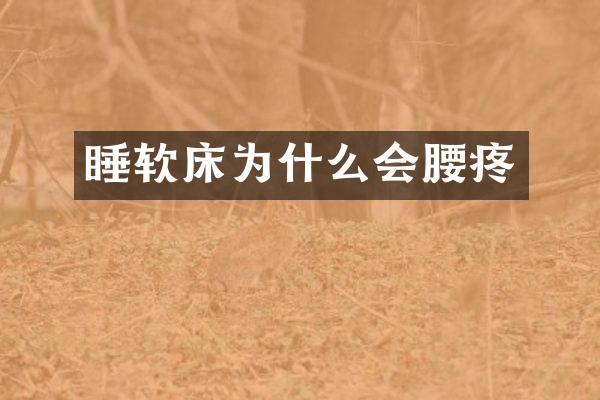 睡软床为什么会腰疼