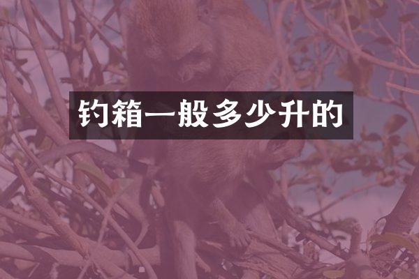 钓箱一般多少升的