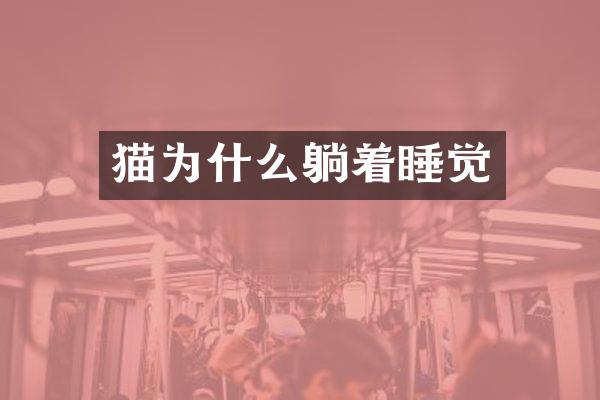 猫为什么躺着睡觉