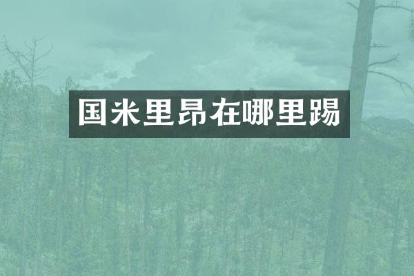 国米里昂在哪里踢