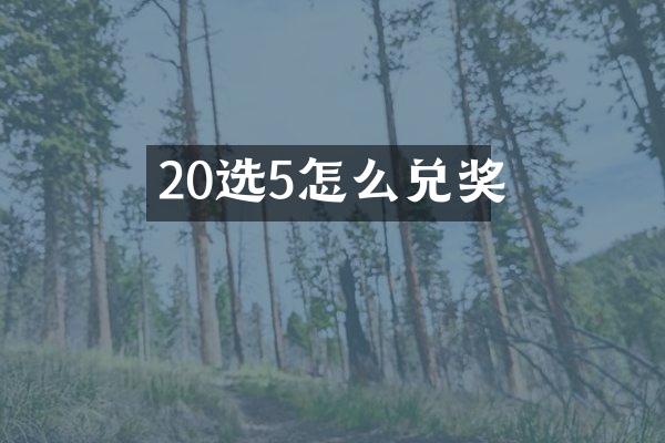 20选5怎么兑奖