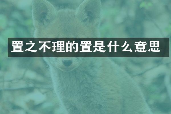 置之不理的置是什么意思