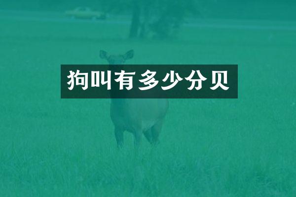 狗叫有多少分贝