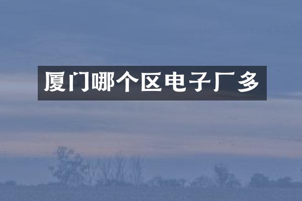 厦门哪个区电子厂多